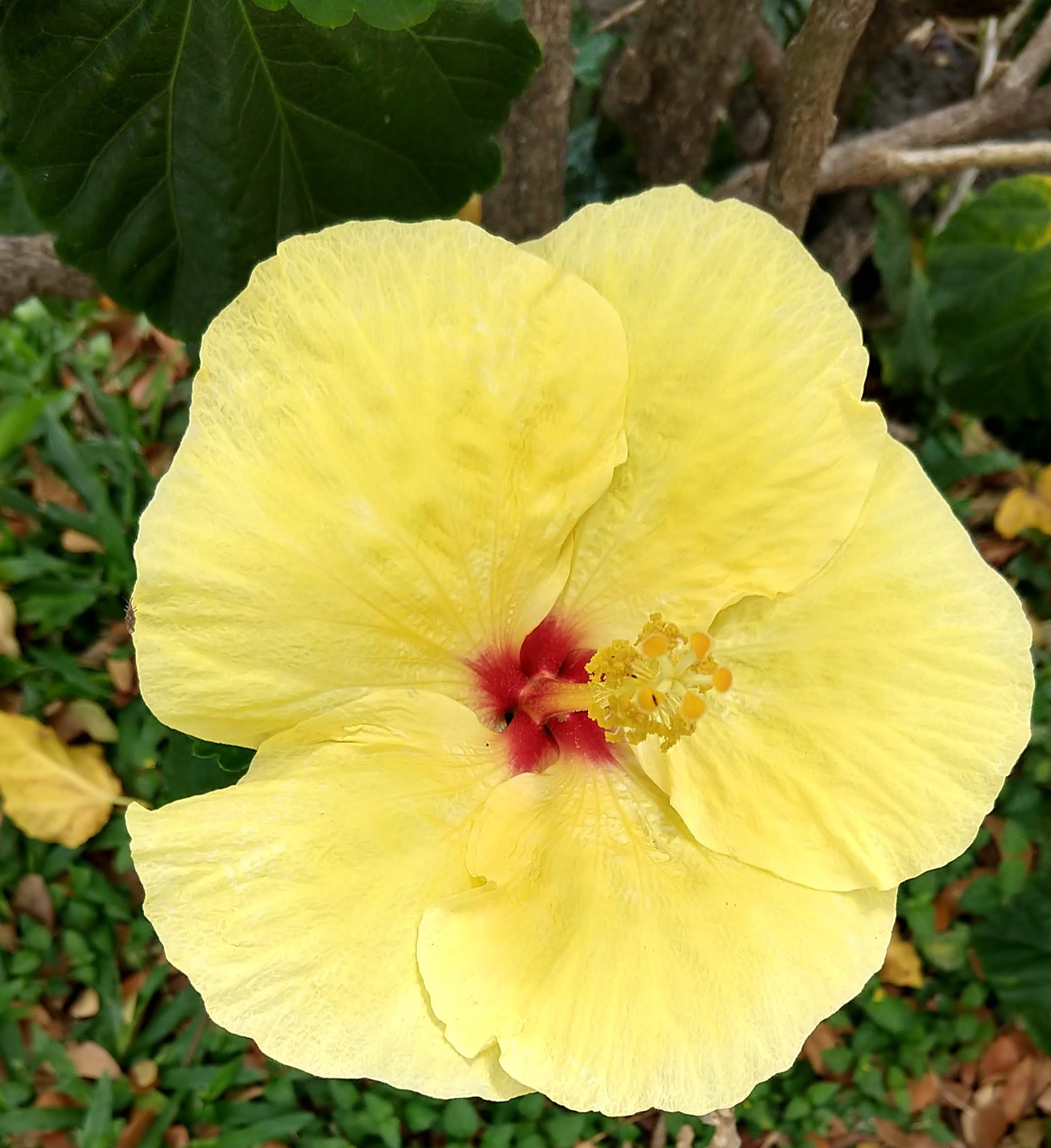 4 days in Honolulu, Hawaii